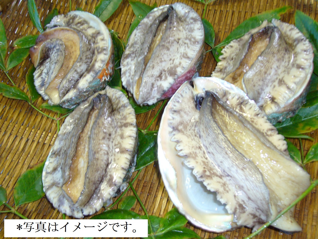 _kankoku_awabi